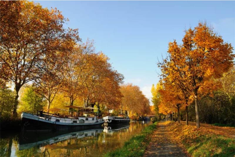 Le Canal du Midi à l'Automne